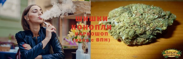 дурь Осташков
