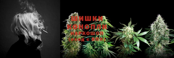 спиды Бронницы