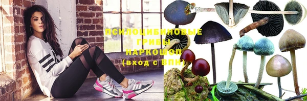 mix Богородск
