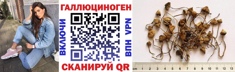 Галлюциногенные грибы Cubensis  магазин продажи   Гусь-Хрустальный 